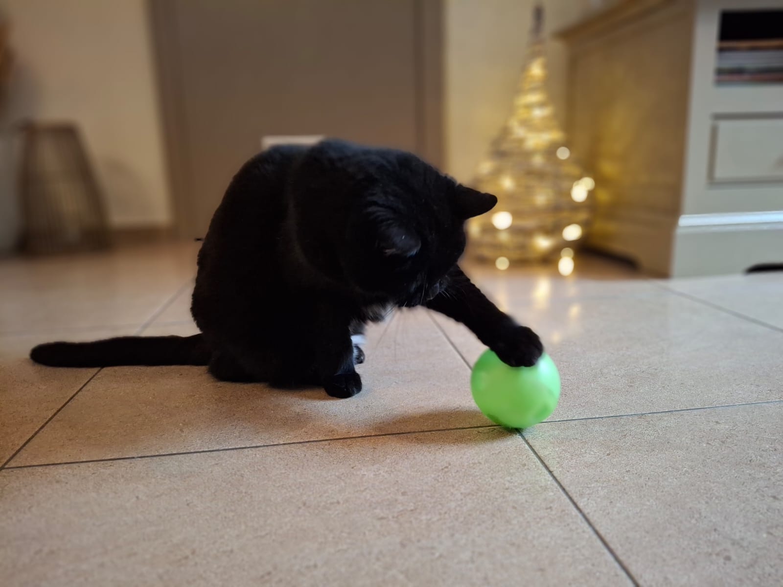 Slimcat antischrok Kattenvoerbal